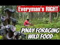 PINAY FORAGING WILD FOOD IN FINLAND🥹🍄 | THE LINDEMANS