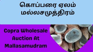 Copra Auction At Mallasamudram TCMS | மல்லசமுத்திரம் கொப்பரை மார்க்கெட் நிலவரம் | Milling Copra Sale