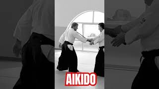 合氣道 AIKIDO: Shihonage by P. Corallini Shihan #aikido #japan #martialarts #aikikai #ueshiba #iwamaryu