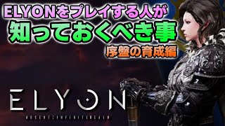 【新作ゲーム ELYON（エリオン）】初心者が知っておくべき事：序盤の育成編【MMORPG】