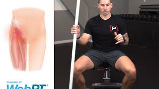 Fix Your Pinching Hip Pain With Squats