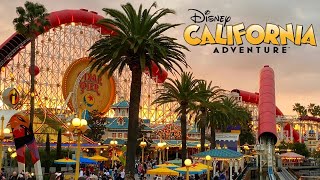 Disney California Adventure Vlog January 2022