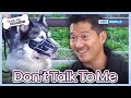 Don't Talk To Me 😬 [Dogs are incredible : EP.199-3] | KBS WORLD TV 231226