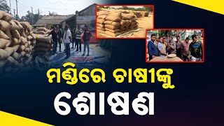 Paddy Procurement Chaos: Millers Flout Govt. Orders, Farmers Suffer In Balasore