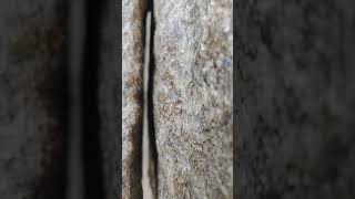 Hanging pillars in Lepakshi temple