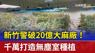 新竹警破20億大麻廠！ 千萬打造無塵室種植