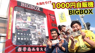 色違いの1000円自販機BIGBOXでまさかのアイツが大連発！！？