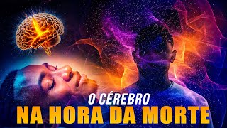 O Que Acontece Com o Cérebro Após a Morte