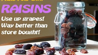 Make Your Own RAISINS~No dehydrator~TRY it!!