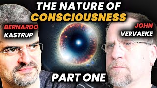 Bernardo Kastrup Λ John Vervaeke on Meta-Consciousness