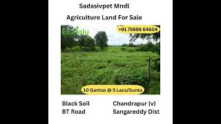 10 Guntas Farmland, Sadasivpet Mandal, 5 Lacs Per Gunta.