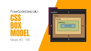 FreeCodeCamp Walkthrough | Learn the CSS Box Model (Steps 41 - 45) - HTML & CSS Tutorial
