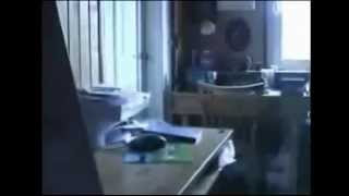 Ultimate "NOOOOOOOOOO" compilation (2/2)