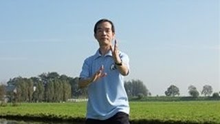 Tai Chi for Back Pain Video | Dr Paul Lam | Introduction