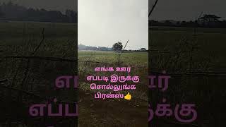 எங்க ஊர் பாருங்க பிரன்ஸ்👍