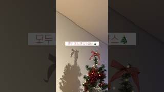 🎄시드니에서 크리스마스 장보기를 하면… 네??! 굴이 얼마라구요????? #국제커플 #시드니브이로그