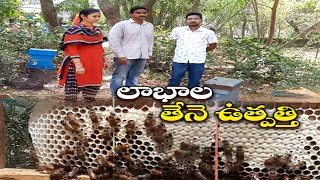 Youth Making Money From Honey | Guntur |  తేనెటీగలతో యువకుల స్వయం ఉపాధి