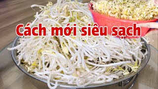 Cách làm Giá mới không lót khăn siêu sạch nhanh ăn thành công 100% .