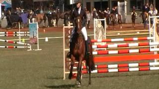 Its Who junior champ gatton show