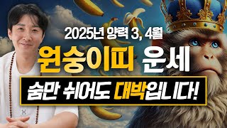 2025년 을사년 양력 3, 4월 원숭이띠 운세 / 두 번 다시 없을 최고의 행운이 옵니다! / 92년생, 80년생, 68년생, 56년생