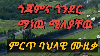 ምርጥ የጎጃም ሙዚቃ | ዘዉድቱ አስቻለዉ | Zewuditu Aschalew |Best Gojam Music