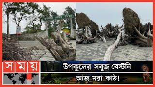 প্রকৃতির বিপর্যয়ে হুমকির মুখে কুয়াকাটার জীব-বৈচিত্র্য | Patuakhali Tourism | Kuakata Sea Beach