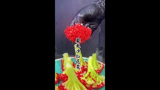 万万没想到花菜也可以做得这么漂亮、关键是还简单#美食教程 #花菜家常做法 #抖音美食推荐官 @DOU+小助手