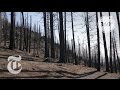 'Dead Before the Fire Even Came Through' | The Daily 360 | The New York Times