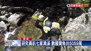 櫻花鉤吻鮭復育有成 國寶魚樂遊七家灣溪－民視新聞