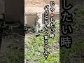 🐱うんこはトイレでするんだよ‼️わかってるの？