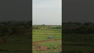 பச்சை பசுமையான ECO விவசாயி  தோட்டம் #viral #evergreen #green #trending #farming #nature #garden