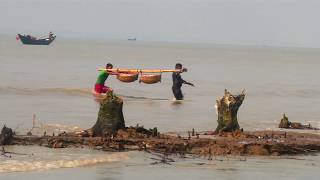 DUBLAR CHAR SUNDARBAN দুবলার চর, সুন্দরবন