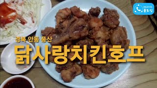 경북 안동 풍산 '닭사랑치킨호프' [술집리뷰] [플로잉팬클럽 🦝오소리]