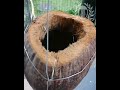 自己diy椰子壳做吊盆自制过程。diy coconut shell to make hanging pot making process