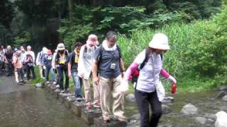 2010.7.3富士山一周ドリームウォーク　小田貫湿原先の川を渡る