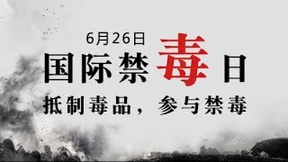 【考研張雪峰】因 “被害妄想症”獲刑15年？中“毒”已深，破冰繼續行動——法律其實很好玩