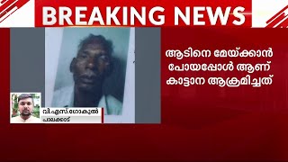 അട്ടപ്പാടിയിൽ വയോധികനെ ആന ചവിട്ടിക്കൊന്നു | Attappady | Wild Elephant |