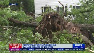 Powerful storms leave behind damage in parts of NJ, NY