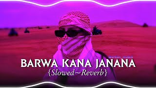 Barwa Kana Janana Balochi Song (Slowed~Reverb) #balochisong #slowedandreverb