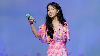 190428 아이유(IU) - 서든어택 팬미팅 [너의 의미] 4K 직캠