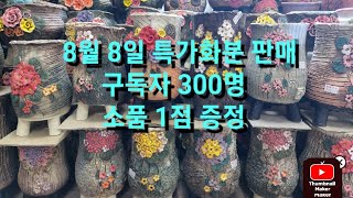 #8월8일 특가화분 판매#다육이수제화분 #다육이 #succulent #화분 #다육 화분