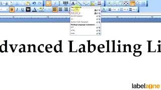 Inserting Single & Multi Line Text Boxes in BarTender