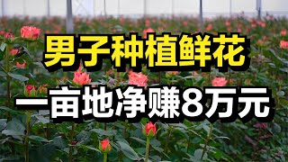 他发现鲜花的商机，一亩地能净赚8万元，年收入高达1500万元