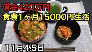 【借金420万円】食費1ヶ月15000円生活！11月4.5日！　 1人暮らし　節約　料理