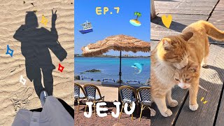 A Month Alone in Jeju EP.7 Udo Bike Tour, HoPhi Workroom, Peanut Ice Cream, On/Off, Malatang