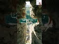 این آیه را در هر کنج خانه بخوانید از شر انس و جن در امان خواهید ماند. beautiful recitation quran