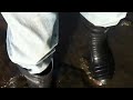 cofra thermic safety wellies and a little bit of mud