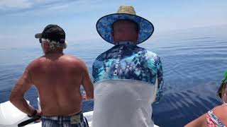 dan Porter catching sail fish,dolphin and tuna