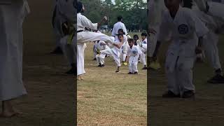 kung fu vs karate comparison in hindi shorts #short #viral #trending #youtubeshorts #karate #kungfu