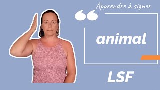 Signer ANIMAL en LSF (langue des signes française). Apprendre la LSF par configuration